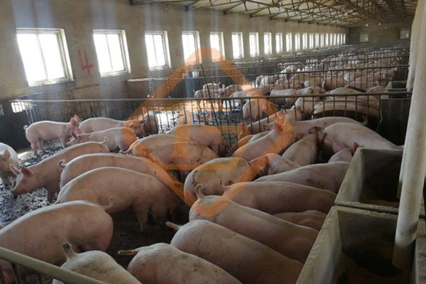 豬糞有機肥加工設備